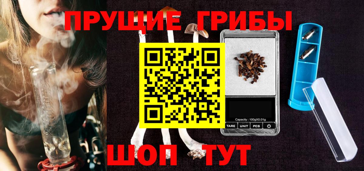 Псилоцибиновые грибы Cubensis  купить   Дмитров  Псилоцибиновые грибы Magic Shrooms  Вход с VPN 