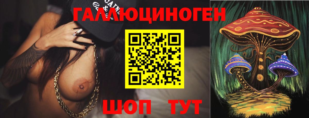 Псилоцибиновые грибы Psilocybine cubensis Дмитров